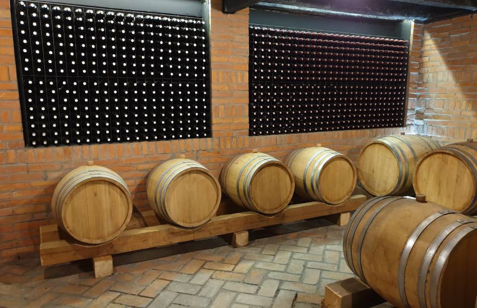 Slika buradi gde stoji vino i police sa flašama vina